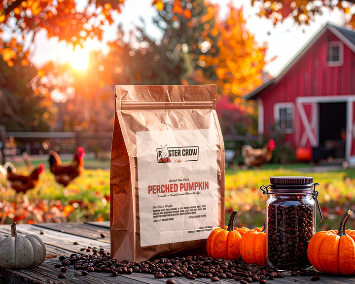 Perched Pumpkin  |  Decaf