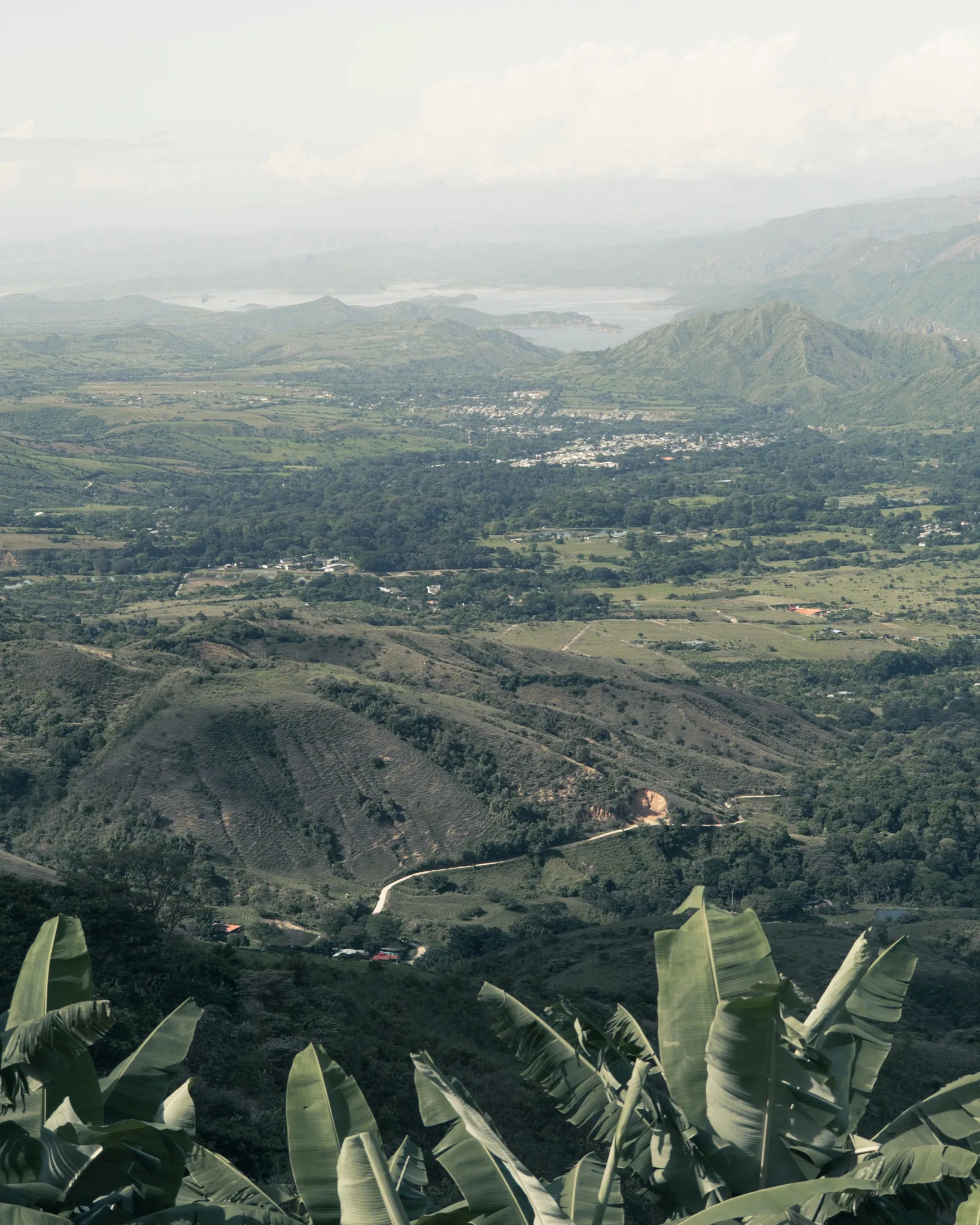 Colombia Supremo