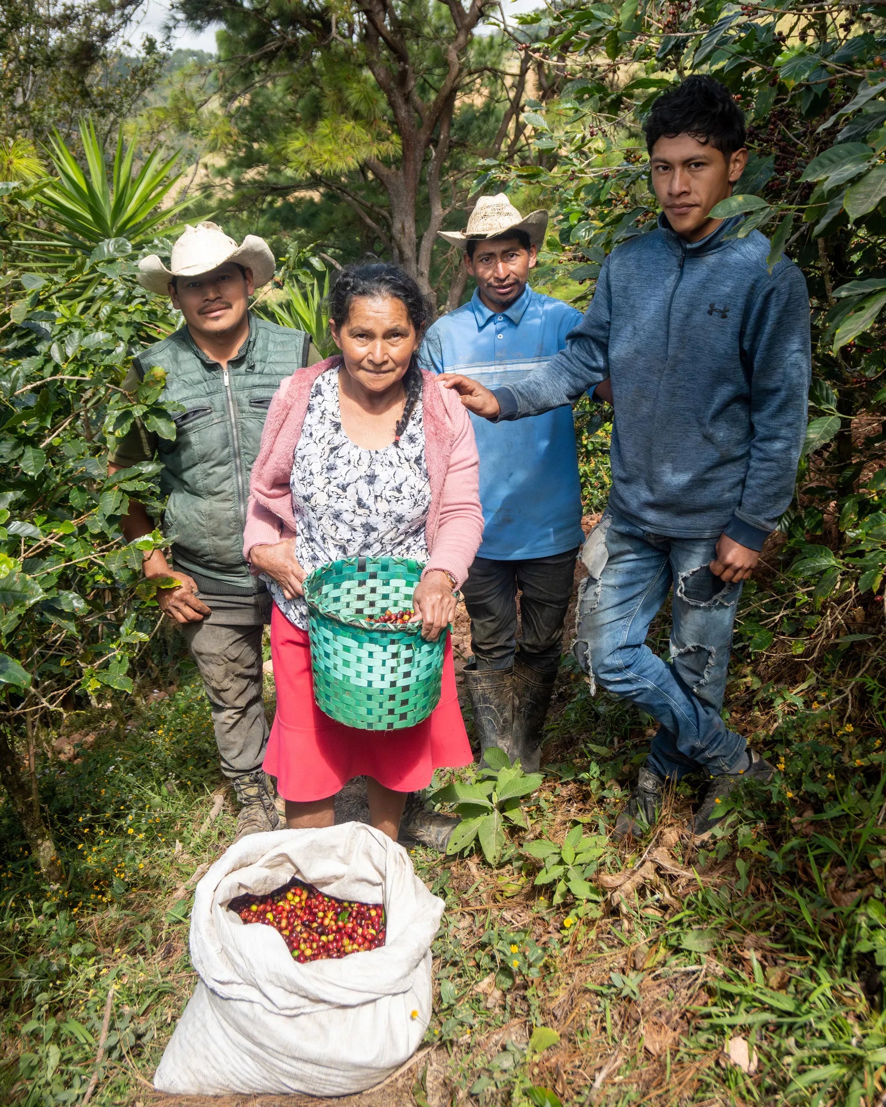 Cerro Las Ranas Honey Process
